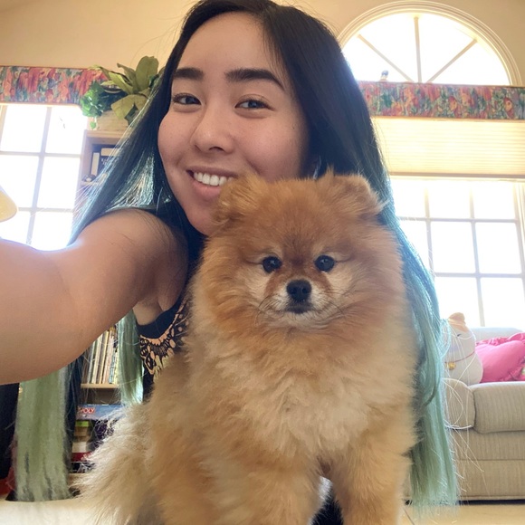 Meet your Posher, Keilani - Picture 6 of 13